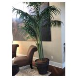 https://www.ebay.com/itm/123999191384  BG0024: 8Ft Plus Artificial Palm Plant in Pot $95 OBO Local P