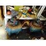 GYNORMOUS COLLECTOR ESTATE SALE IN WINTER SPRINGS
