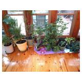 Estate Sale Smoke Rise