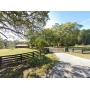 Loganville 16+ acre Farm -One of TWO sales this weekend. Tractor, furniture, art ++
