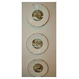Decorative Plates