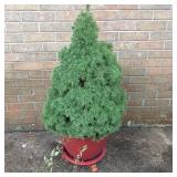 Humphrey Estate Sale