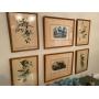 Roche Estate Sale