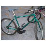 Men/ Boys Bike