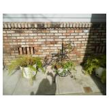 Fantastic Yuba City Estate Sale