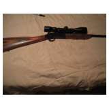 New england arms 22 Hornet