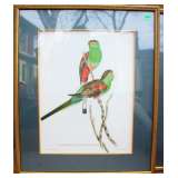 Pair J. Gould Prints