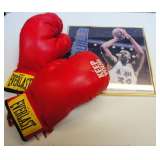 Everlast Boxing Gloves