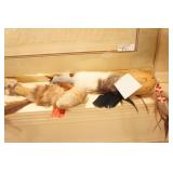 Native American Artifacts