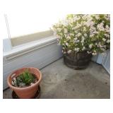 2 Day Lodi Estate Sale