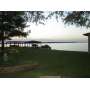 1/2 PRICE SUNDAY! Lake Conroe Estate Sale..ON the Lake!! All About Estate Sales - Ty Davidson