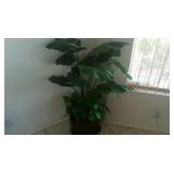 silk plants