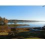 DIVINE FINDS ESTATE SALE IN EVANS