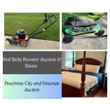Peachtree City and Newnan Auction