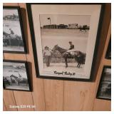 Equestrian Photos