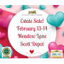 Join Us For A Sweetheart Of A Sale In Scott Depot!