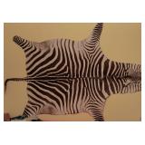 Zebra Skin