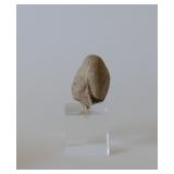 male stone head 12th C. h 2"