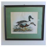 Selby pair mallards, 20th C. h 29