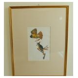 Audubon print, h 41 1/4" x 31 3/4"