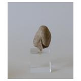 male stone head 12th C. h 2"