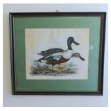 Selby pair mallards, 20th C. h 29