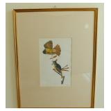 Audubon print, h 41 1/4" x 31 3/4"