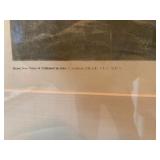 Audubon Red Tailed Hawk, Audubon, 1829