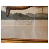 Audubon Red Tailed Hawk, Audubon, 1829