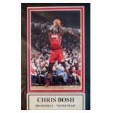 CHRIS BOSH PIC