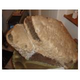 THIS SUNDAY -BLOW OUT