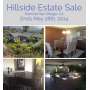 Hillside Estate Sale - Fine Furniture and Art