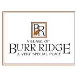 Massive Burr Ridge Sale-Tons Added including Cars