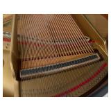 Kohler & Campbell Baby Grand Piano skg-400s