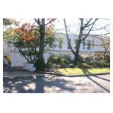 LAWRENCE: FULL OF SURPRIZES, SUNDAY, DECEMBER 18TH FROM 10:00-4:00 