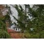 Huntington Part 1 OF 2 Online Auction.NOW LIVE! Auction Begins Closing Tue, 3/24/26 8PM