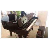 Player Baby Grand Piano