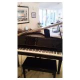 Player Baby Grand Piano