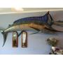 SOLD OUT!! CLOSED SUN MARLIN MOUNTS ANTIQUES FURNITURE FISHING ITEMS, BABY GRAND PIANO SUPER PACKED!