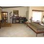 HUGE ESTATE SALE IN THE COLONY PACKED So Much Good with Just the Right Amount of Wrong!