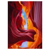 PETER LIK ETERNAL BEAUTY 