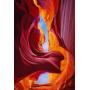 PETER LIK ETERNAL BEAUTY 