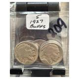 Five Buffalo Nickels in Plastic Sleeve