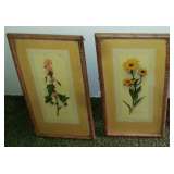 Botanical Artwork