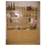 Bookcase/storage units