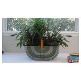Live plants in basket