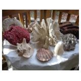 Large Shells