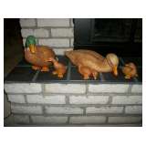 5 pc duck family