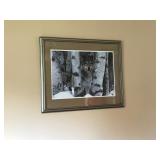 WOLF FRAMED PRINT