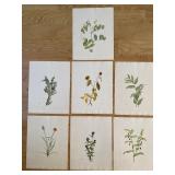 Mary Vaux Wallcott Prints